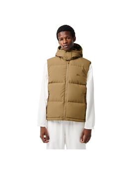 Chaleco Lacoste Acolchado Marrón Hombre